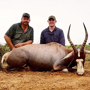 South Africa Blesbok Hunt