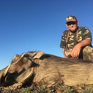 Hunting Warthog in South Africa