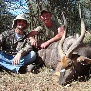 Nyala Hunting