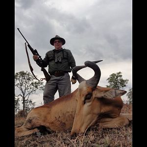 Lichtenstein's  Hartebeest Hunting Tanzania