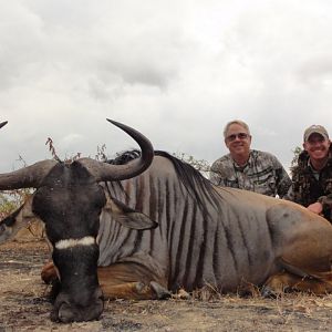 Nyasa Wildebeest Tanzania  Hunt