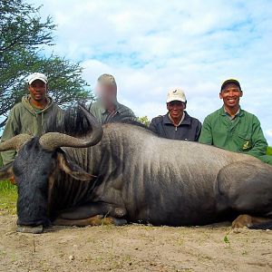 Hunting Blue Wildebeest South Africa