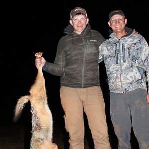 South Africa Jackal Hunting