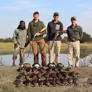 Wing Shooting  Geese South Africa