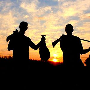 South Africa Guineafowl Wing Shooting