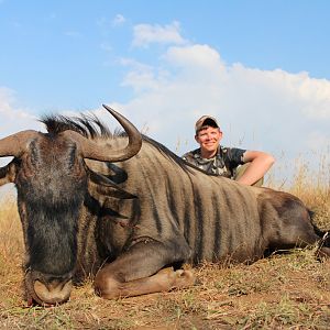 Blue Wildebeest Hunting in South Africa