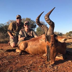 Red Hartebeest Hunting in South Africa