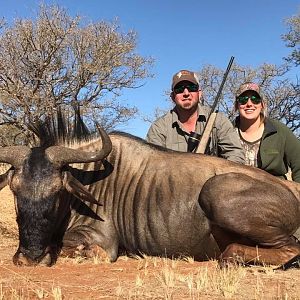 Blue Wildebeest Hunt in South Africa