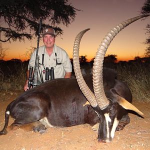 Sable Antelope Hunt South Africa