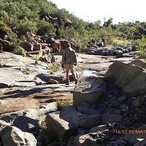 Chasing Waterbuck