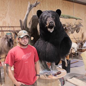 Huge Taxidermy Black Bear... Not Big Huge!