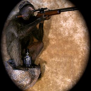 Baboon Hunter