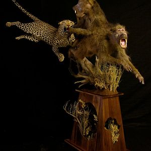 Leopard & Baboons Taxidermy Scene