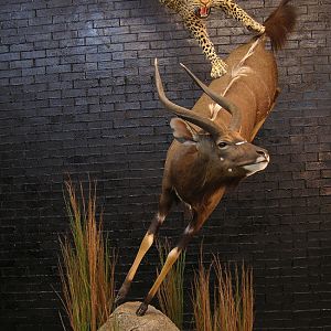 Taxidermy Scene