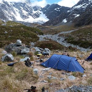 Hunting Tahr