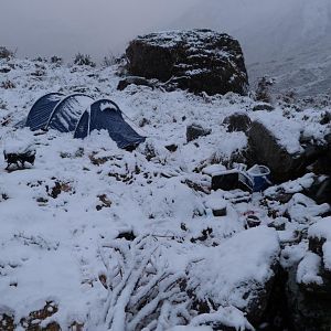 Tahr Hunt