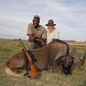 Hunting South Africa Black Wildebeest