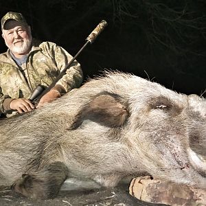 Hunting Bushpig South Africa