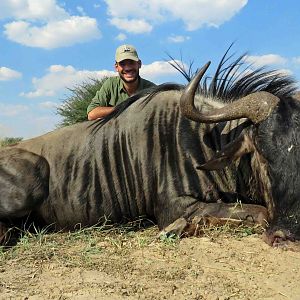 Blue Wildebeest Hunting in South Africa