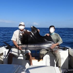 Mozambique Fishing Sailfish