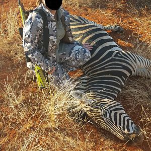 South Africa Burchell's Plain Zebra Hunt