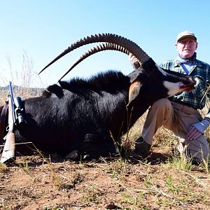 South Africa Sable Antelope Hunt