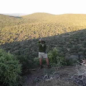 South Africa Hunt