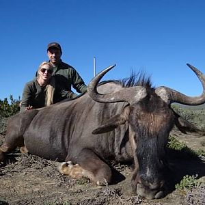 Blue Wildebeest Hunting in South Africa