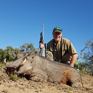 Hunting Warthog in South Africa