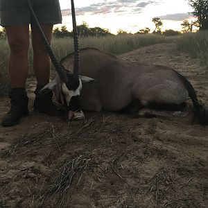 Gemsbok Hunting South Africa