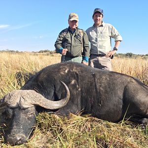 Hunting Buffalo in South Africa