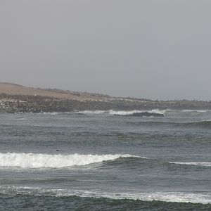 Namibia Cape Cross Seal Colony