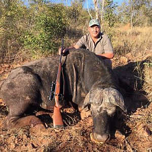 Cape Buffalo Hunting Zimbabwe