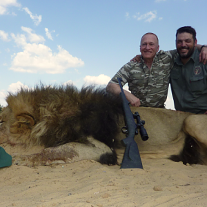 Hunting Lion South Africa