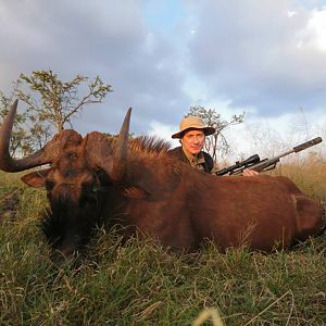 Cull Hunting South Africa Black Wildebeest