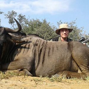 Blue Wildebeest Cull Hunting in South Africa