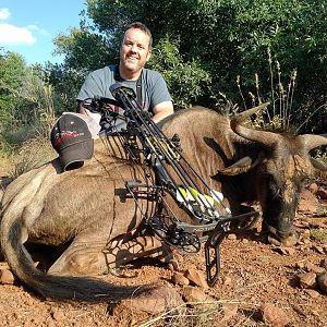 Blue Wildebeest Cull Bow Hunting in South Africa