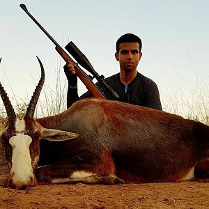 South Africa Blesbok Cull Hunt