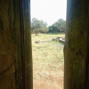 Bow Blind View