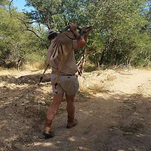 Hunting South Africa Impala