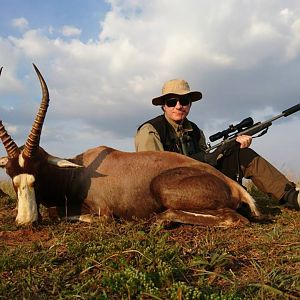 South Africa Blesbok Hunt