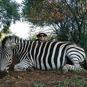 Burchell's Plain Zebra Hunting South Africa