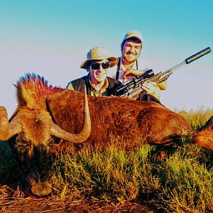 Hunting South Africa Black Wildebeest