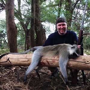 Vervet Monkey Hunt South Africa