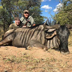 Blue Wildebeest Hunting in South Africa