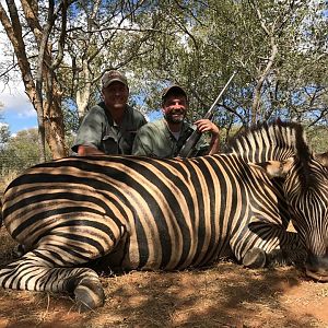 Burchell's Plain Zebra Hunting