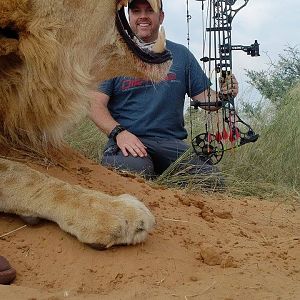 Bow Hunting Lion South Africa