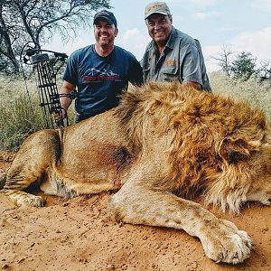 Bow Hunting Lion South Africa