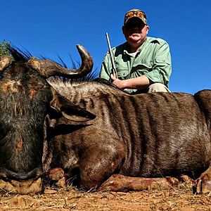 Blue Wildebeest Hunting in South Africa