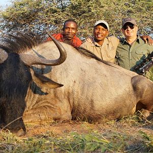 Blue Wildebeest Hunting